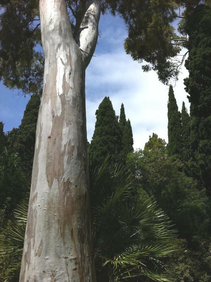Dormiusa Bordighera Kültér fotó